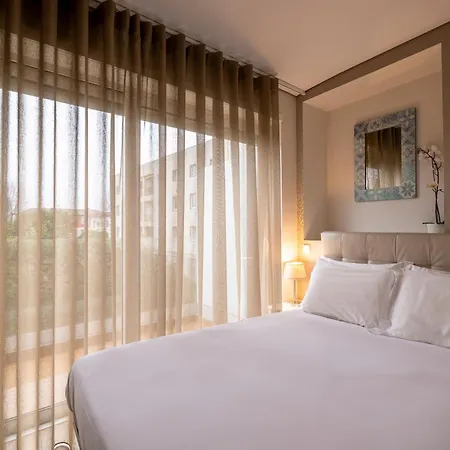 Terro Collection - Alcaide Braga