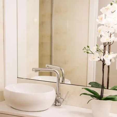 Terro Collection - Alcaide