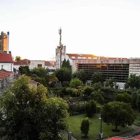 Terro Collection - Alcaide ブラガ