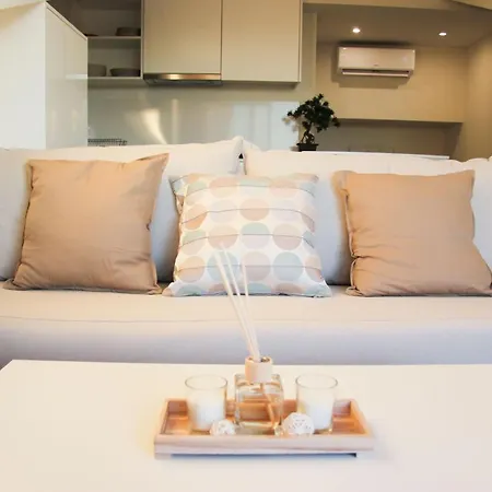 Terro Collection - Alcaide Braga